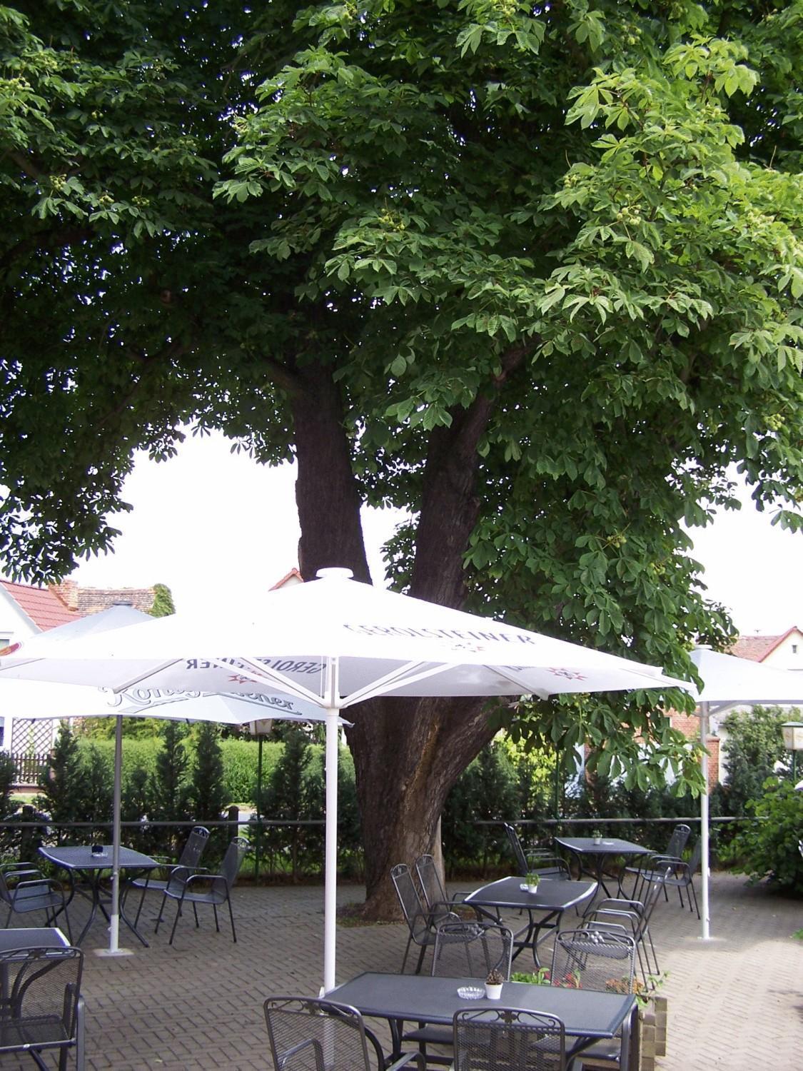 Hotel Glindenberger Hof エクステリア 写真
